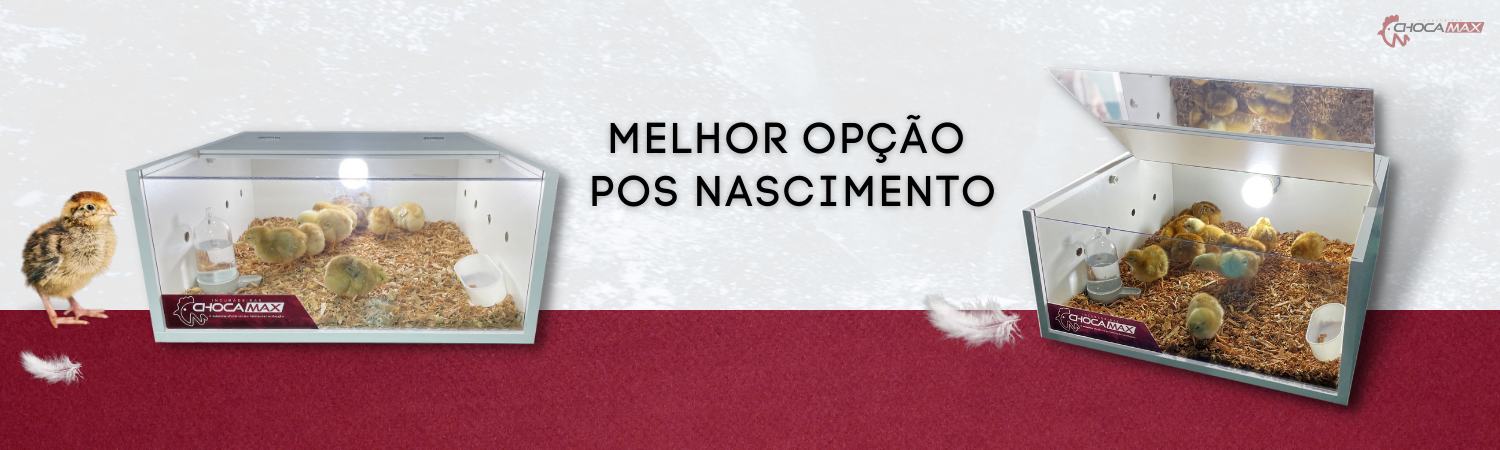 Banner de divulgação de modelos de chocadeira ChocaMax